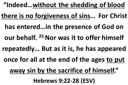 Heb 9 22_28 (2)
