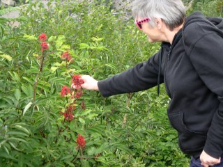 Linda at St. Helens (4)