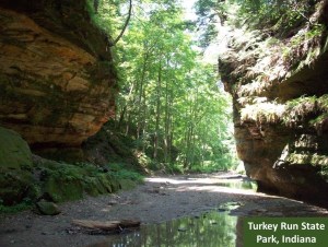 turkey run journeyofredisovery_wordpress (2)