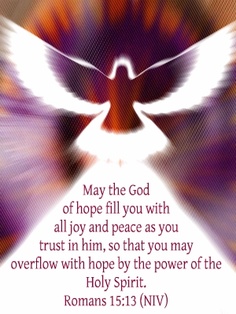 holy-sp opalmassey_wordpress