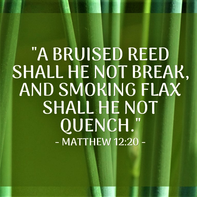 Steward of God’s Grace, Not His Law – breathingbygraceblog